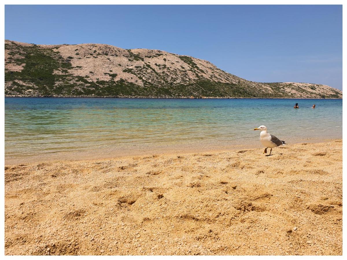 Apartman Mila Barbat na Rabu Εξωτερικό φωτογραφία