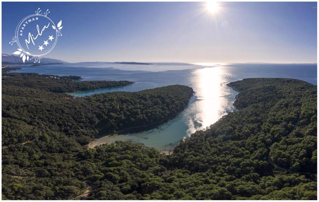 Apartman Mila Barbat na Rabu Εξωτερικό φωτογραφία